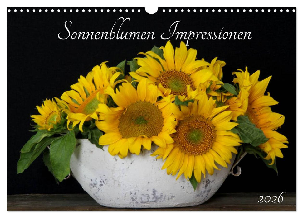 Sonnenblumen Impressionen (CALVENDO Wandkalender 2026)
