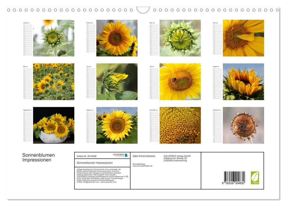 Sonnenblumen Impressionen (CALVENDO Wandkalender 2026)