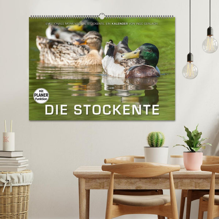 Emotionale Momente: Die Stockente. (CALVENDO Wandkalender 2026)