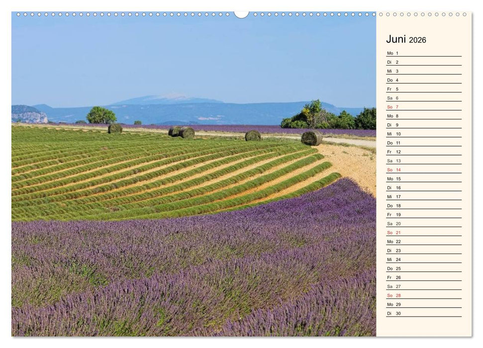 Lavendel (CALVENDO Wandkalender 2026)