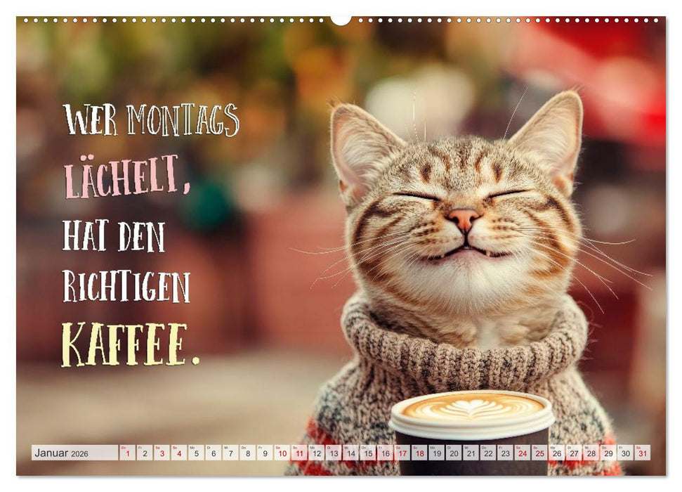 Katzenlogik - Wenn Blicke miauen könnten (CALVENDO Wandkalender 2026)