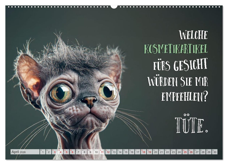 Katzenlogik - Wenn Blicke miauen könnten (CALVENDO Wandkalender 2026)
