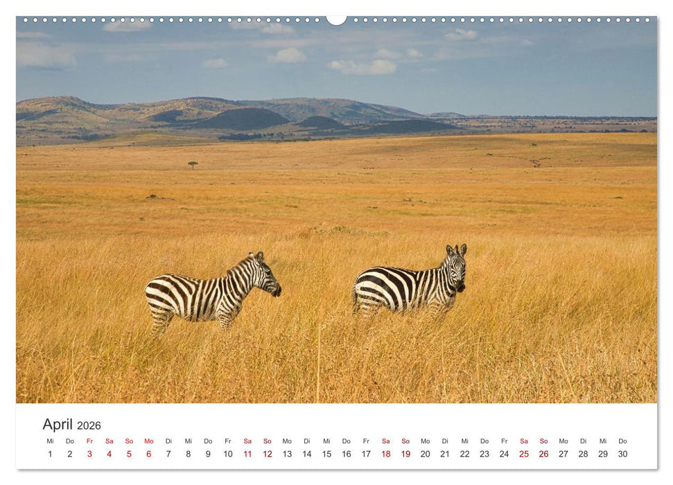 Kenia - Eine Entdeckungsreise durch das Land im Osten Afrikas (CALVENDO Premium Wandkalender 2026)