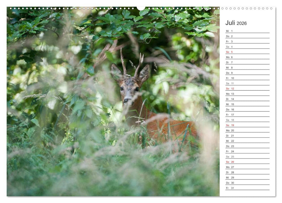 Emotionale Momente: Wild und Jagd. (CALVENDO Premium Wandkalender 2026)