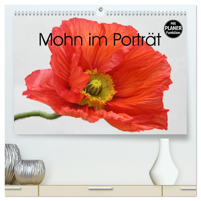 Mohn im Porträt (CALVENDO Premium Wandkalender 2026)
