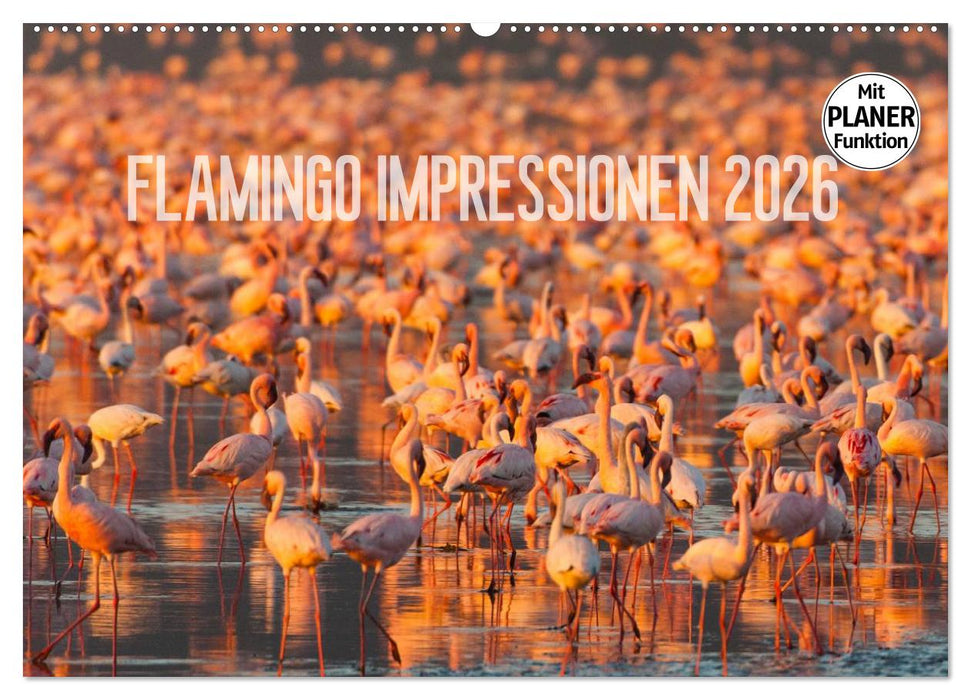 Flamingo Impressionen 2026 (CALVENDO Wandkalender 2026)