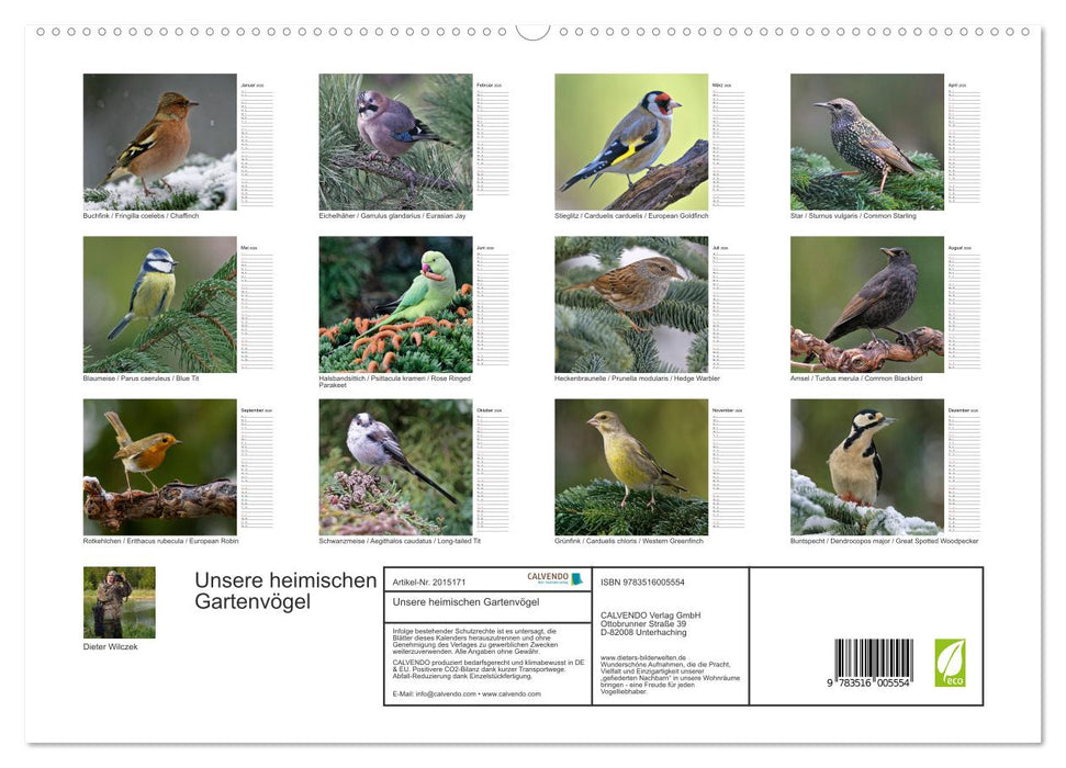 Unsere heimischen Gartenvögel (CALVENDO Premium Wandkalender 2026)