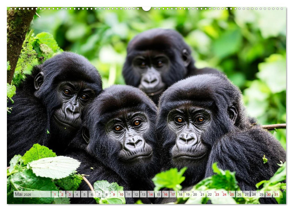Bedrohte Tierwelt SCHATTEN DES VERSCHWINDENS (CALVENDO Wandkalender 2026)