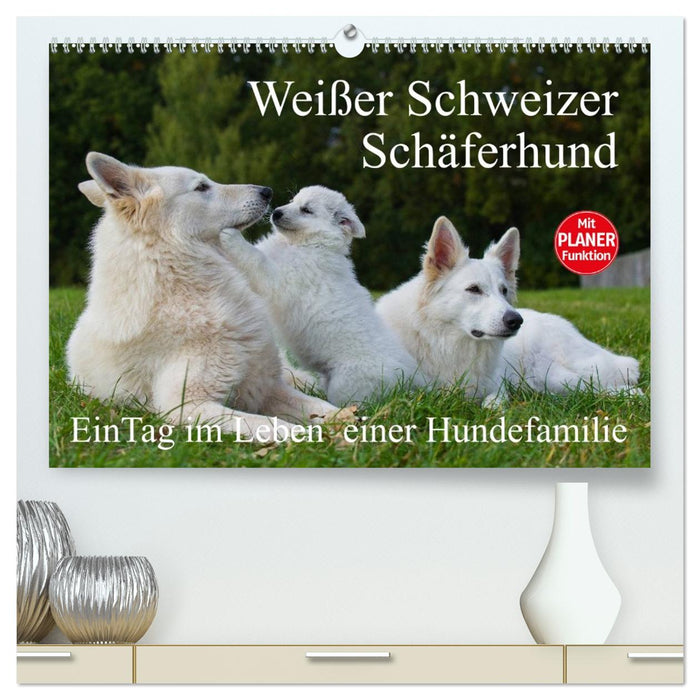 Weißer Schweizer Schäferhund - Ein Tag im Leben einer Hundefamilie (CALVENDO Premium Wandkalender 2026)