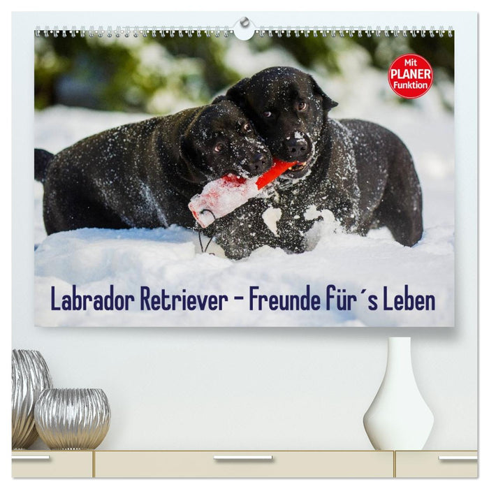 Labrador Retriever - Freunde für´s Leben (CALVENDO Premium Wandkalender 2026)