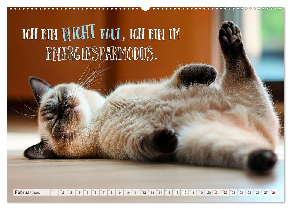 Katzenlogik - Wenn Blicke miauen könnten (CALVENDO Premium Wandkalender 2026)