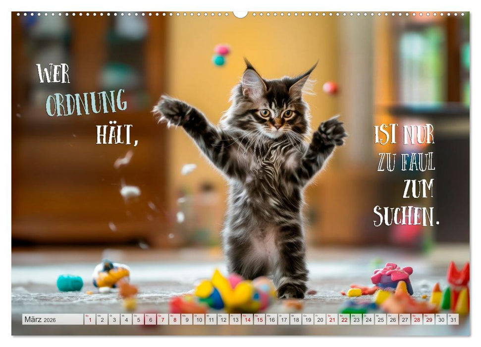 Katzenlogik - Wenn Blicke miauen könnten (CALVENDO Premium Wandkalender 2026)