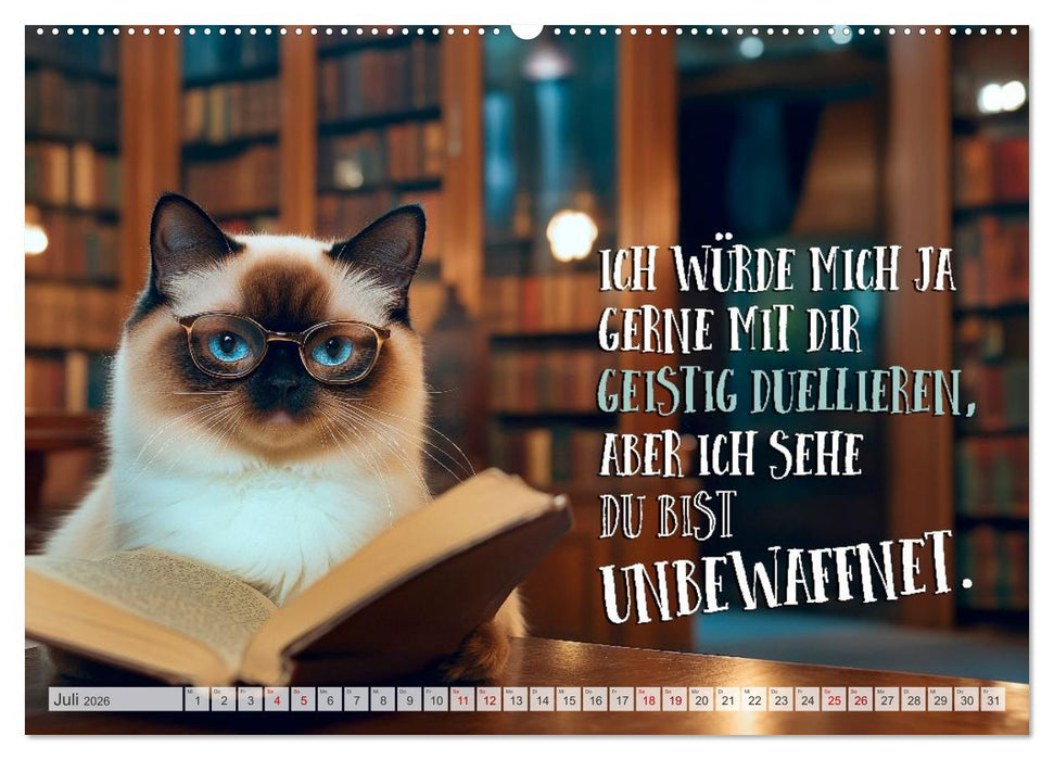 Katzenlogik - Wenn Blicke miauen könnten (CALVENDO Premium Wandkalender 2026)