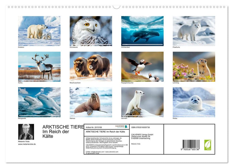 ARKTISCHE TIERE Im Reich der Kälte (CALVENDO Premium Wandkalender 2026)
