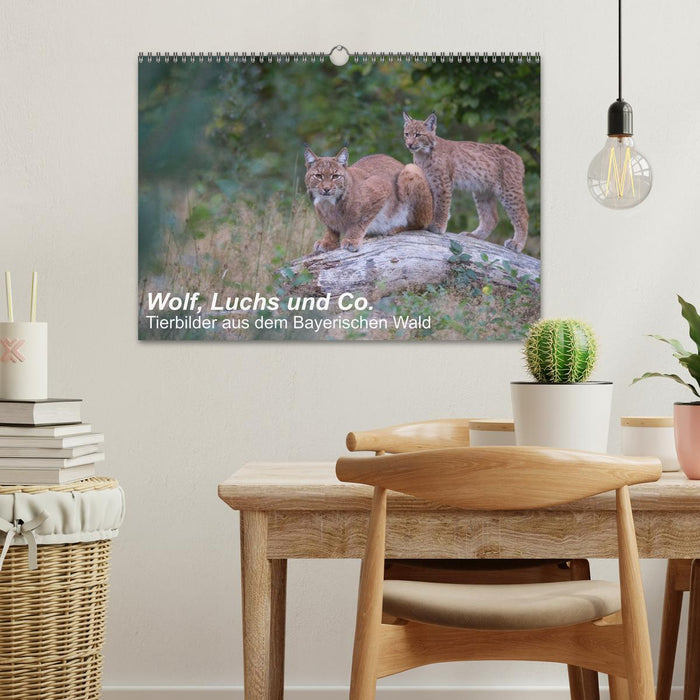 Wolf, Luchs und Co. - Tierbilder aus dem Bayerischen Wald (CALVENDO Wandkalender 2026)
