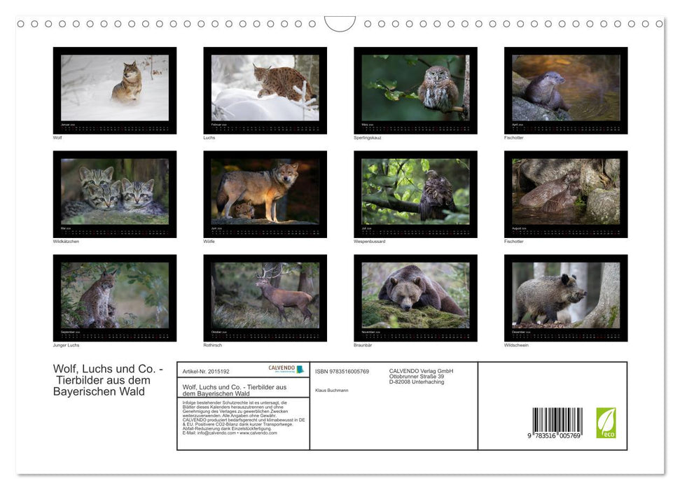 Wolf, Luchs und Co. - Tierbilder aus dem Bayerischen Wald (CALVENDO Wandkalender 2026)