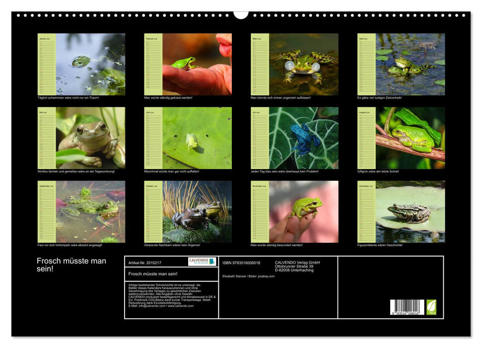 Frosch müsste man sein! (CALVENDO Wandkalender 2026)