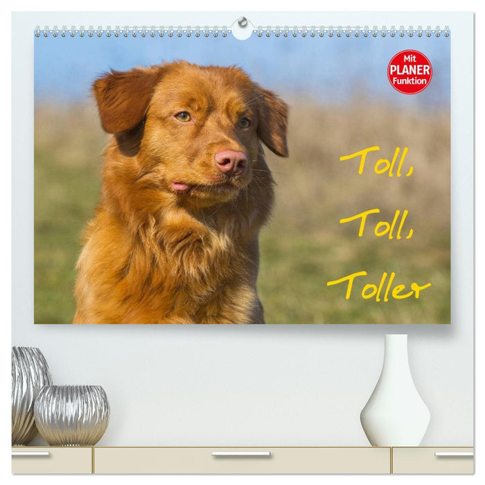 Toll, toll, Toller (CALVENDO Premium Wandkalender 2026)