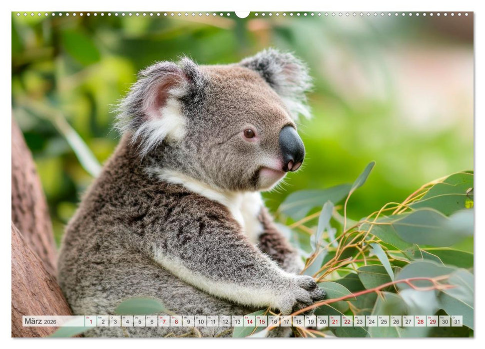 Bedrohte Tierwelt SCHATTEN DES VERSCHWINDENS (CALVENDO Premium Wandkalender 2026)