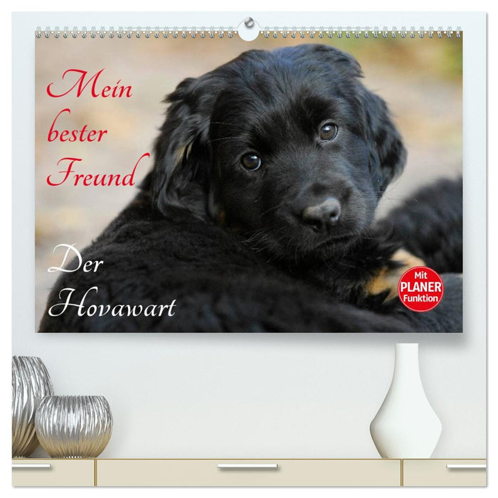 Mein bester Freund - Der Hovawart (CALVENDO Premium Wandkalender 2026)