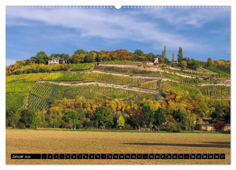 Saale-Unstrut - Region aus Wein und Stein (CALVENDO Wandkalender 2026)
