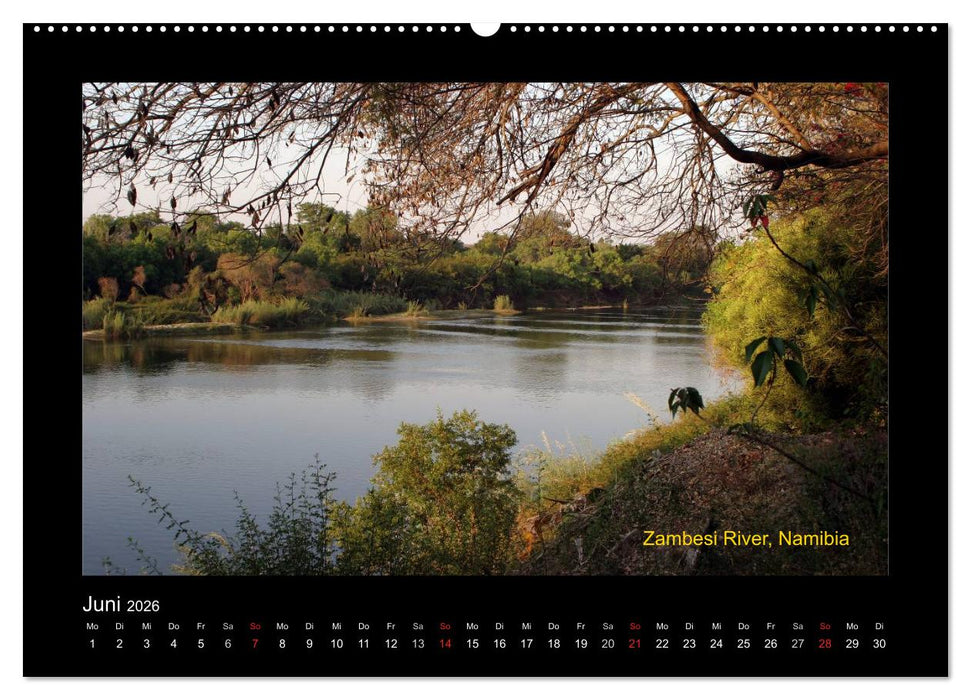 AFRIKA im Süden (CALVENDO Wandkalender 2026)