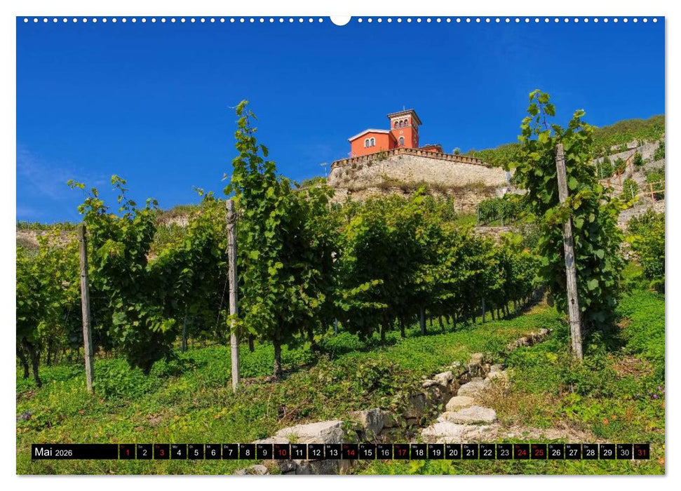 Freyburg - Die Perle im Unstruttal (CALVENDO Premium Wandkalender 2026)