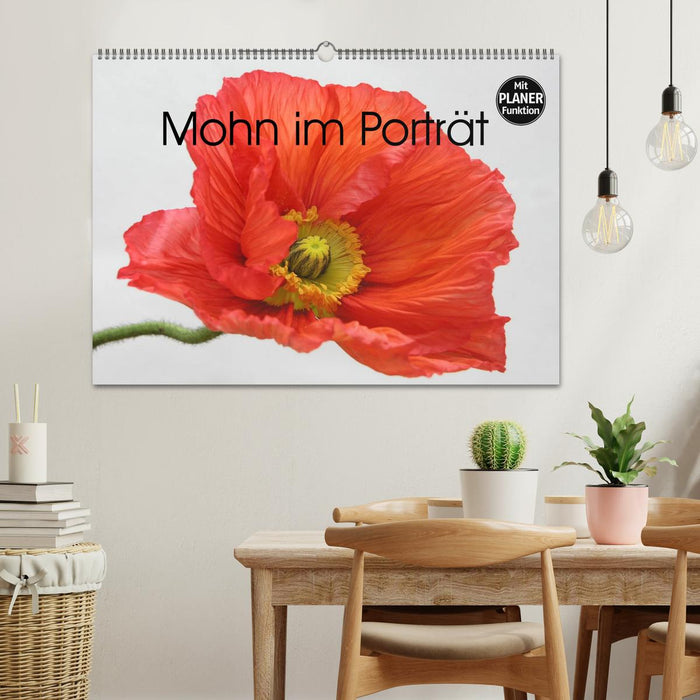 Mohn im Porträt (CALVENDO Wandkalender 2026)