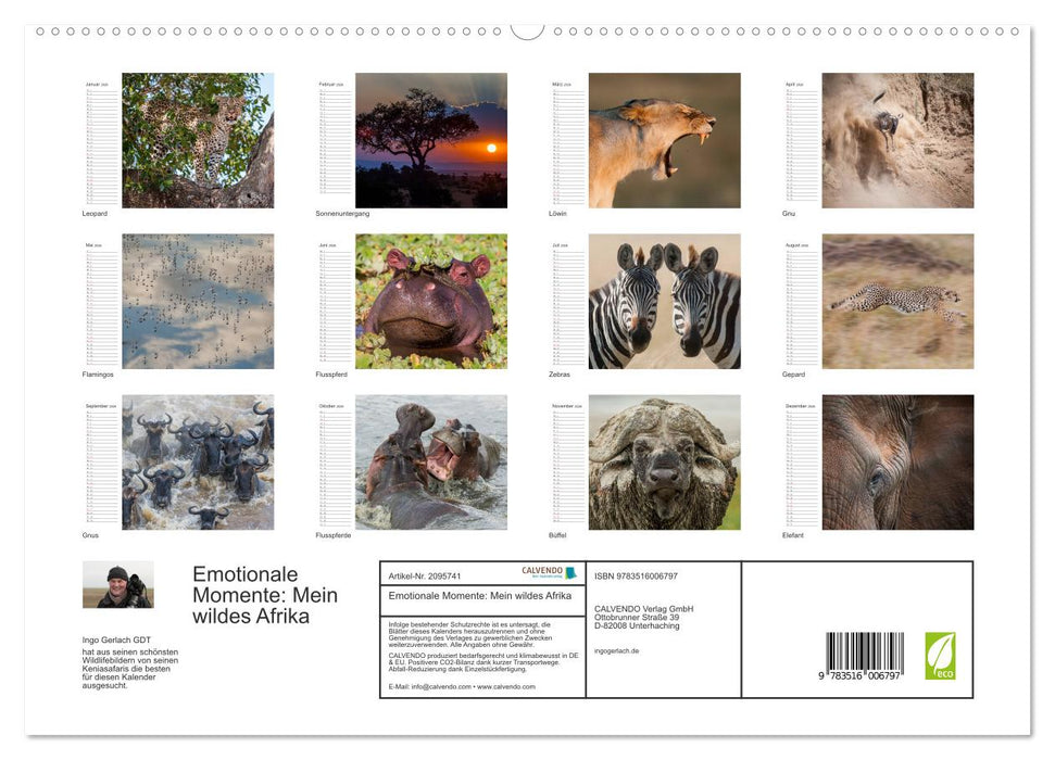 Emotionale Momente: Mein wildes Afrika (CALVENDO Premium Wandkalender 2026)