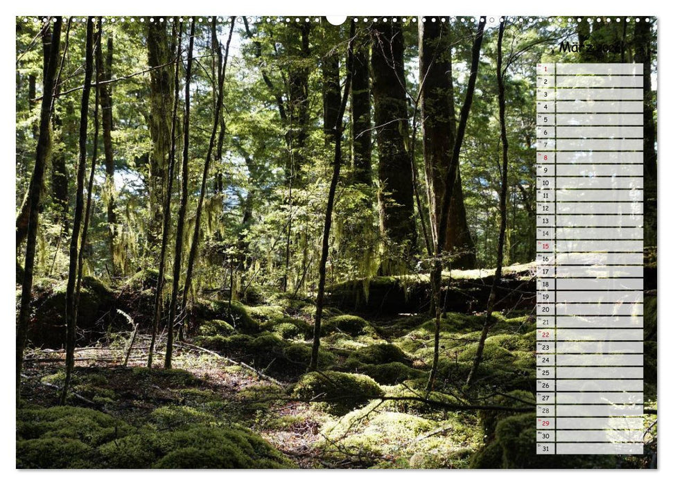 Kia ora, Aotearoa - Wunderbares Neuseeland (CALVENDO Wandkalender 2026)