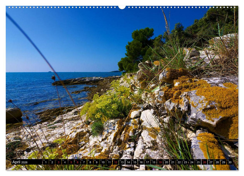 Rund um Rovinj (CALVENDO Premium Wandkalender 2026)
