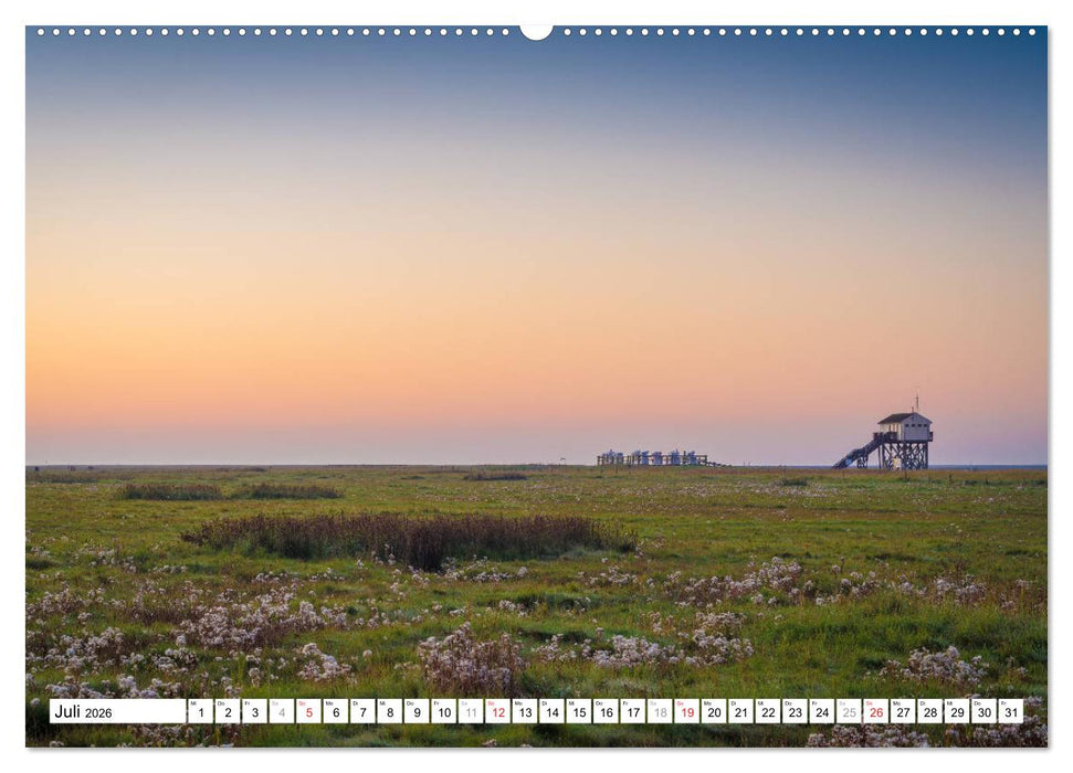 Eiderstedt - Willkommen am Watt (CALVENDO Premium Wandkalender 2026)