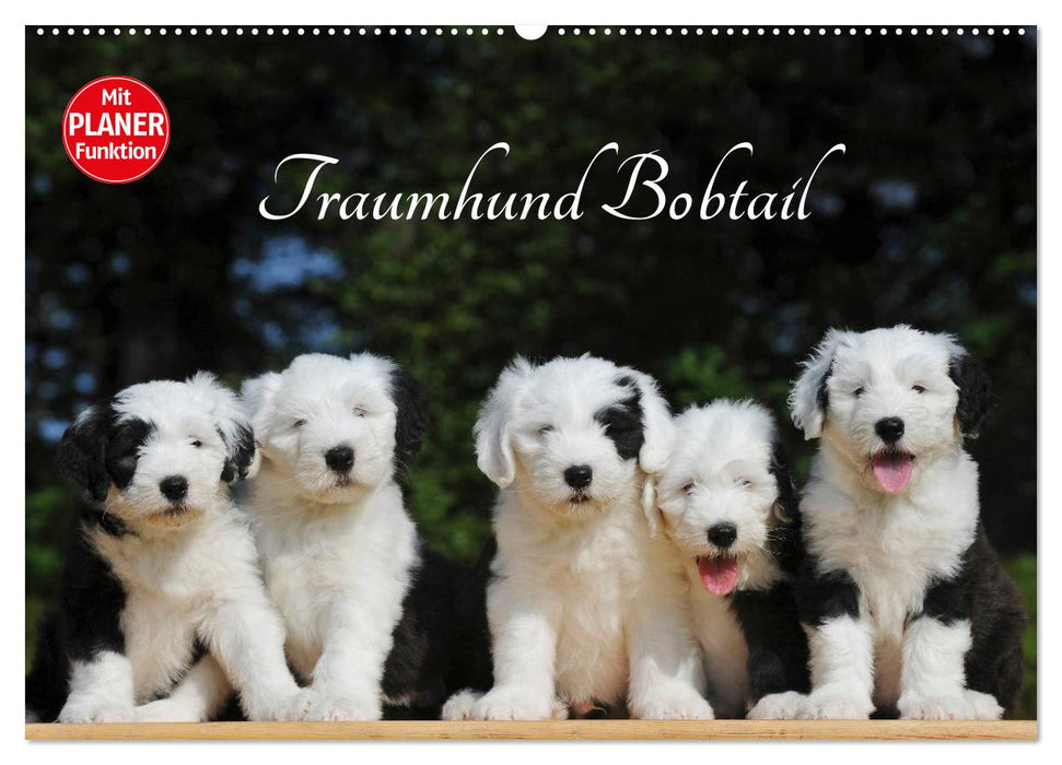 Traumhund Bobtail (CALVENDO Wandkalender 2026)