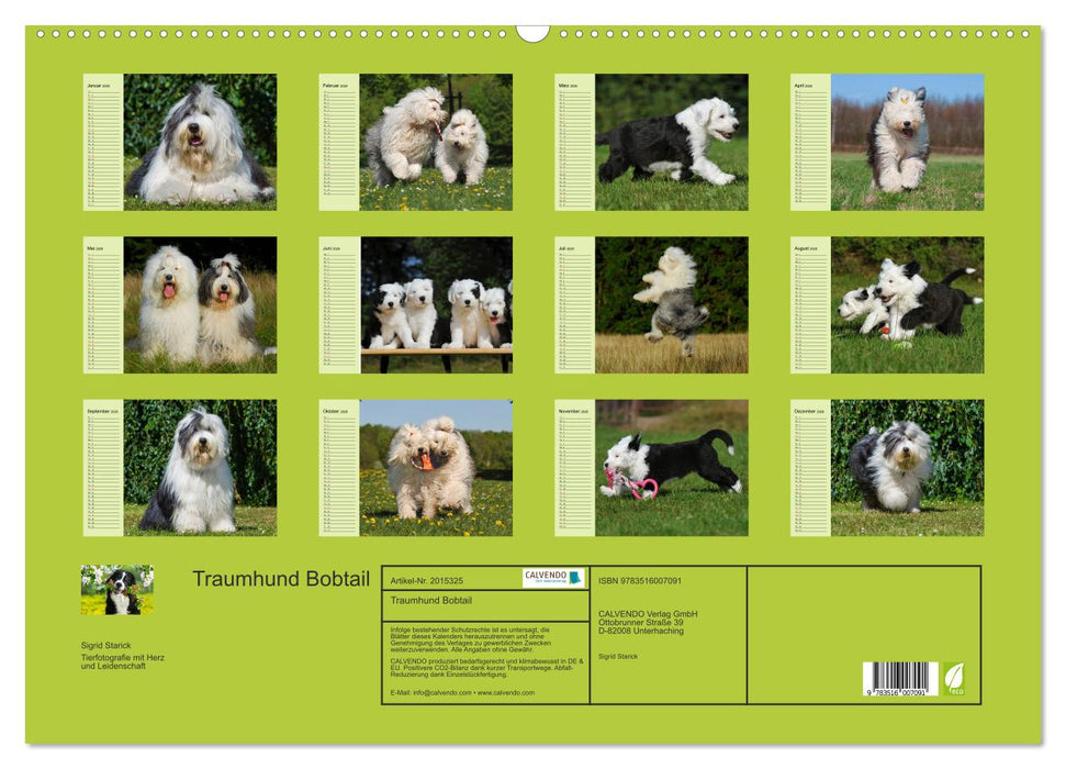Traumhund Bobtail (CALVENDO Wandkalender 2026)