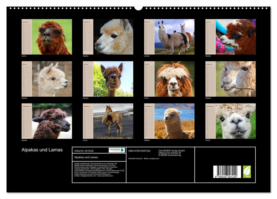 Alpakas und Lamas (CALVENDO Premium Wandkalender 2026)