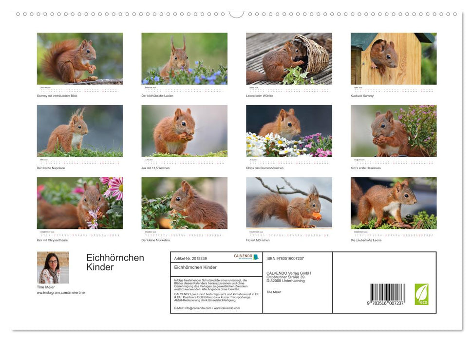 Eichhörnchen Kinder (CALVENDO Premium Wandkalender 2026)