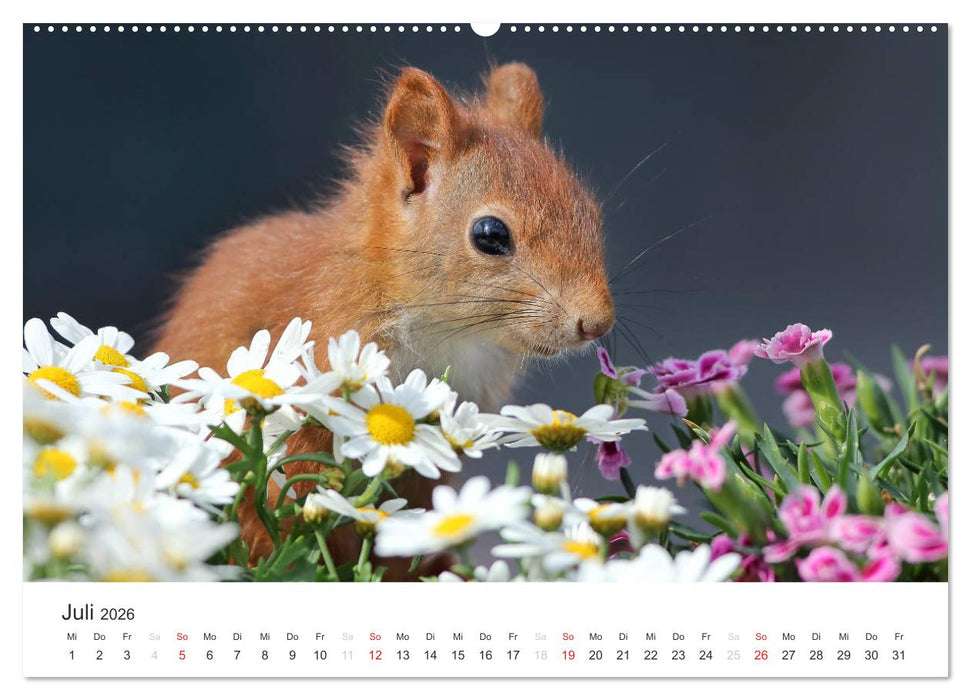 Eichhörnchen Kinder (CALVENDO Premium Wandkalender 2026)