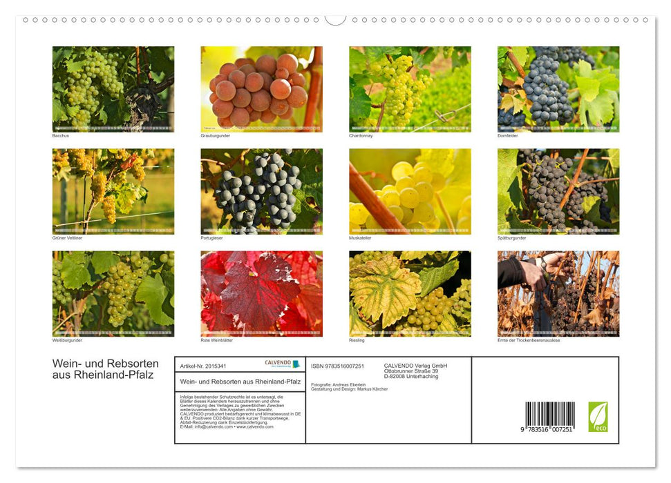 Wein- und Rebsorten aus Rheinland-Pfalz (CALVENDO Premium Wandkalender 2026)