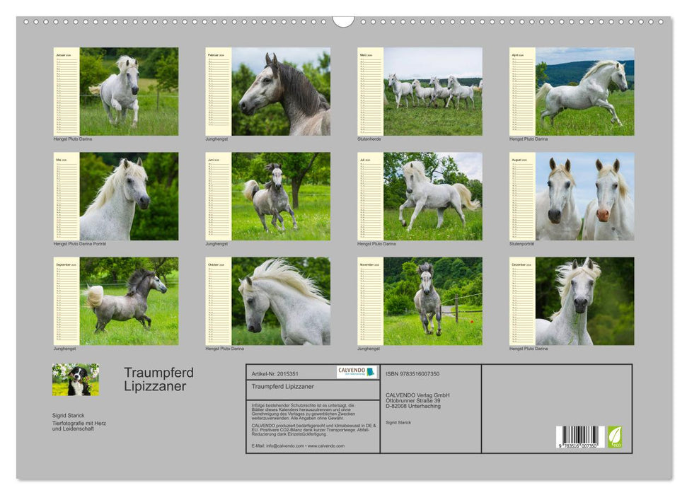 Traumpferd Lipizzaner (CALVENDO Wandkalender 2026)