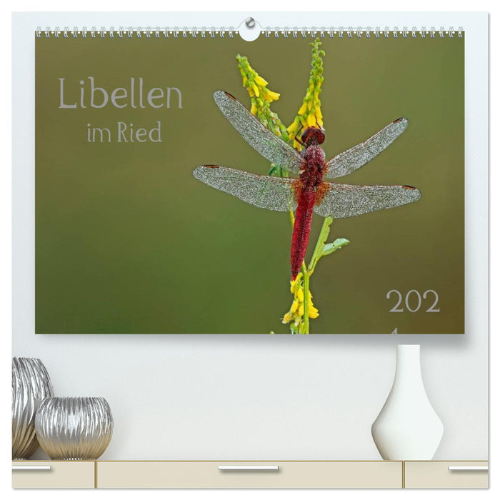 Libellen im Ried (CALVENDO Premium Wandkalender 2026)