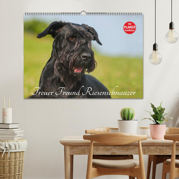 Treuer Freund Riesenschnauzer (CALVENDO Wandkalender 2026)