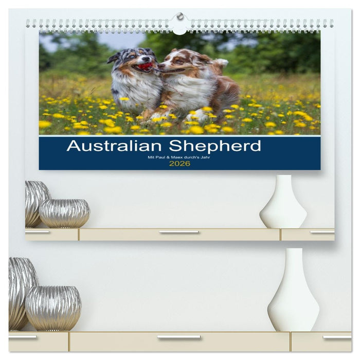 Australian Shepherd 2026 (CALVENDO Premium Wandkalender 2026)