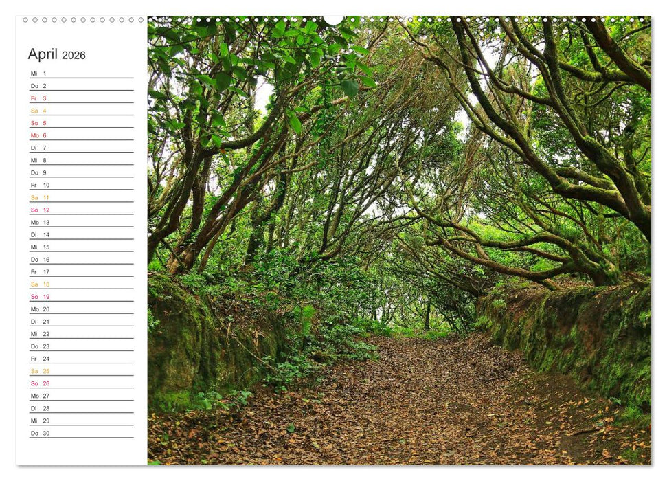 Der Norden von Teneriffa (CALVENDO Wandkalender 2026)