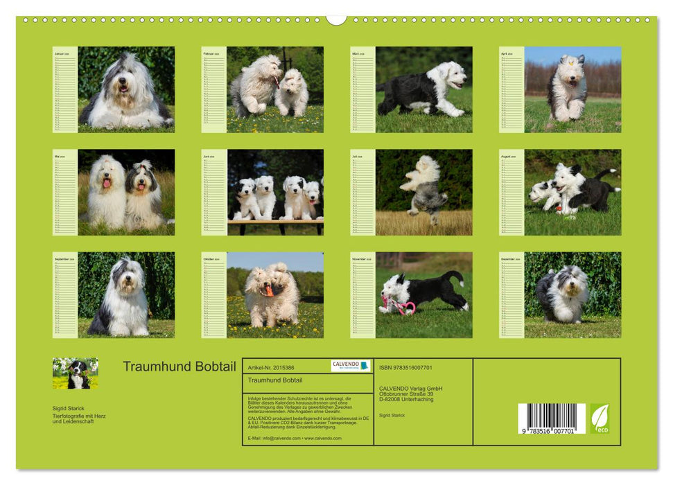 Traumhund Bobtail (CALVENDO Premium Wandkalender 2026)