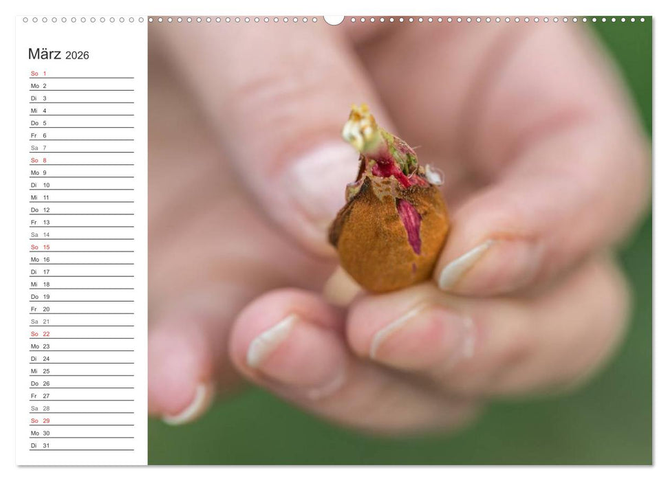 Emotionale Momente: Mandeln (CALVENDO Wandkalender 2026)
