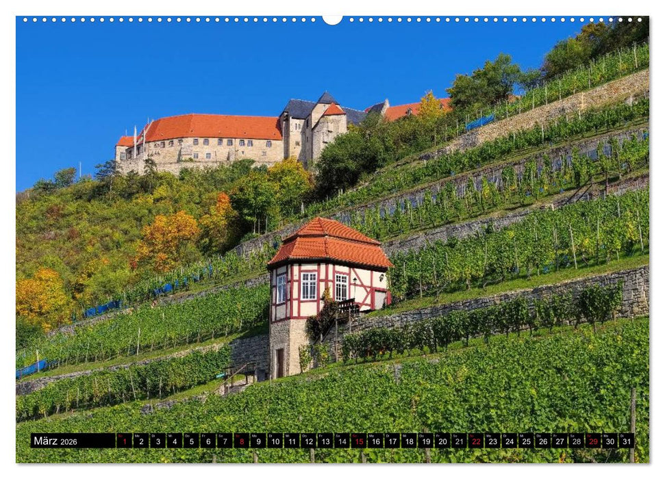 Freyburg - Die Perle im Unstruttal (CALVENDO Wandkalender 2026)