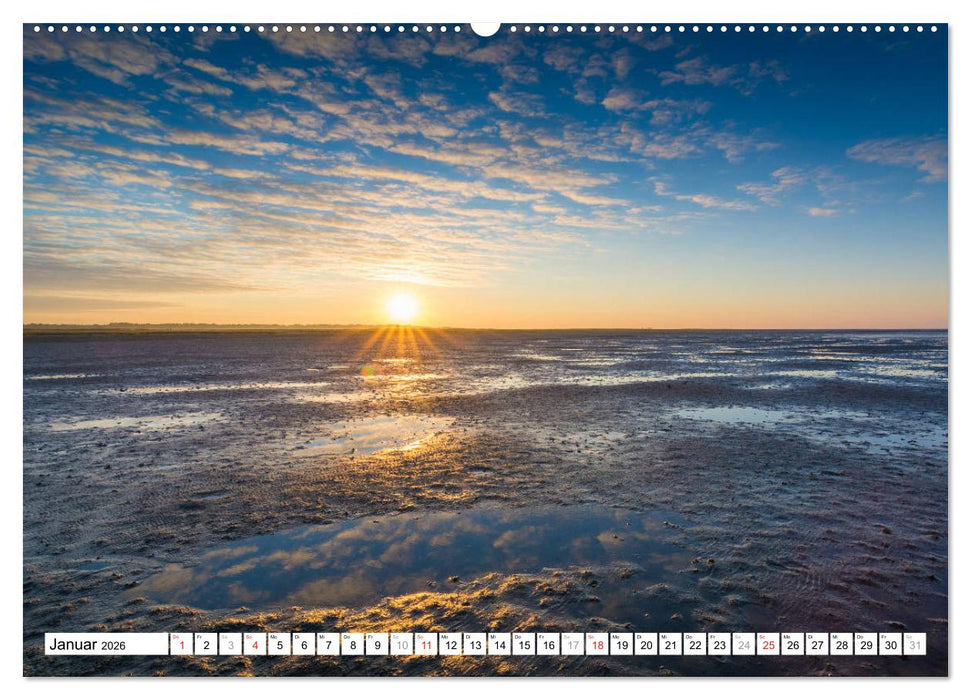 Eiderstedt - Willkommen am Watt (CALVENDO Wandkalender 2026)