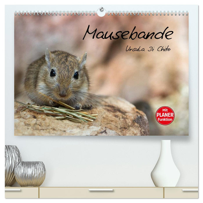 Mausebande (CALVENDO Premium Wandkalender 2026)