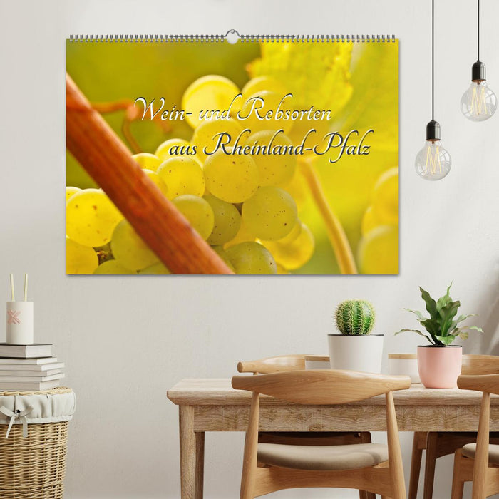Wein- und Rebsorten aus Rheinland-Pfalz (CALVENDO Wandkalender 2026)