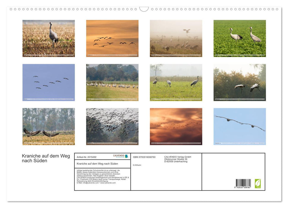 Kraniche auf dem Weg nach Süden (CALVENDO Wandkalender 2026)